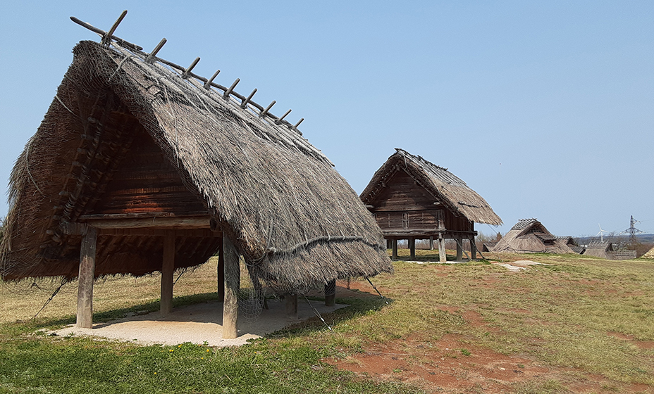 国指定遺跡 むきぱんだ史跡